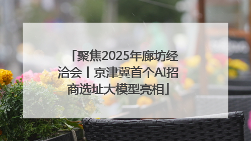聚焦2025年廊坊经洽会丨京津冀首个AI招商选址大模型亮相