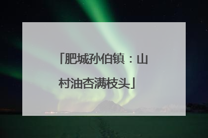 肥城孙伯镇：山村油杏满枝头
