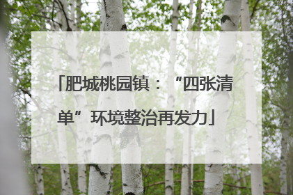 肥城桃园镇：“四张清单”环境整治再发力