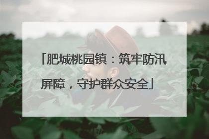 肥城桃园镇：筑牢防汛屏障，守护群众安全