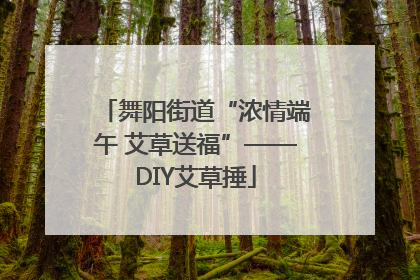 舞阳街道“浓情端午 艾草送福”——DIY艾草捶