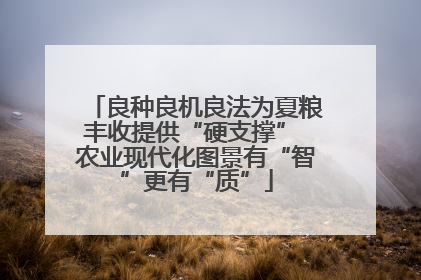 良种良机良法为夏粮丰收提供“硬支撑” 农业现代化图景有“智”更有“质”