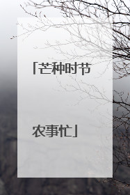 芒种时节农事忙