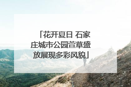 花开夏日 石家庄城市公园萱草盛放展现多彩风貌