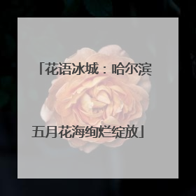 花语冰城：哈尔滨五月花海绚烂绽放