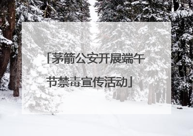 茅箭公安开展端午节禁毒宣传活动