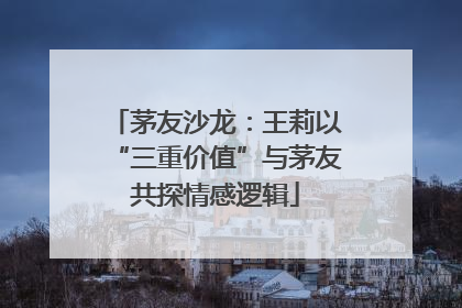 茅友沙龙：王莉以“三重价值”与茅友共探情感逻辑