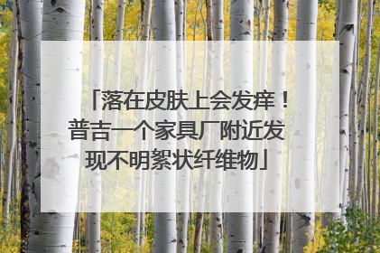 落在皮肤上会发痒！普吉一个家具厂附近发现不明絮状纤维物