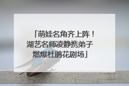 萌娃名角齐上阵！湖艺名师凌静携弟子燃爆杜鹃花剧场