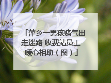 萍乡一男孩赌气出走迷路 收费站员工暖心相助（图）