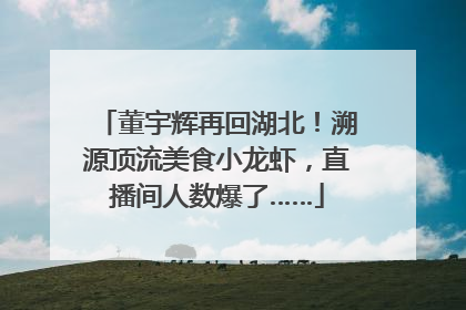 董宇辉再回湖北！溯源顶流美食小龙虾，直播间人数爆了……