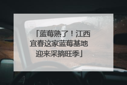 蓝莓熟了！江西宜春这家蓝莓基地迎来采摘旺季