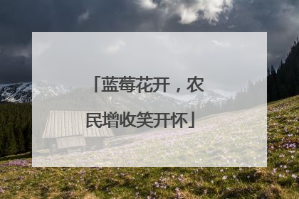 蓝莓花开，农民增收笑开怀