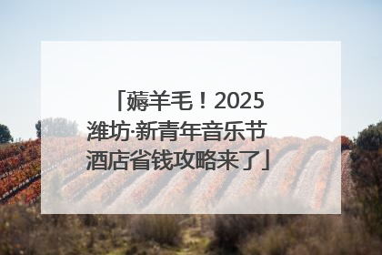 薅羊毛！2025潍坊·新青年音乐节酒店省钱攻略来了