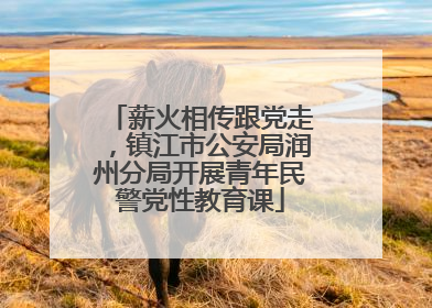 薪火相传跟党走，镇江市公安局润州分局开展青年民警党性教育课