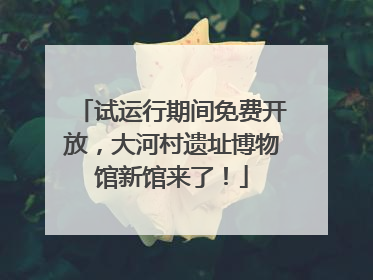 试运行期间免费开放，大河村遗址博物馆新馆来了！