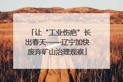 让“工业伤疤”长出春天——辽宁加快废弃矿山治理观察