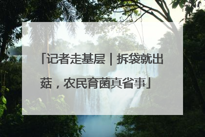 记者走基层｜拆袋就出菇，农民育菌真省事