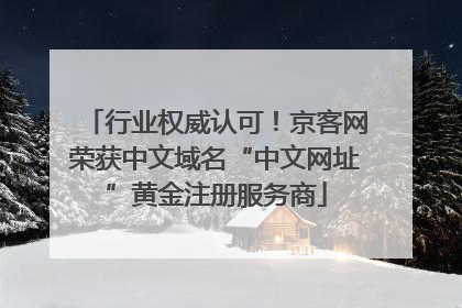 行业权威认可！京客网荣获中文域名“中文网址”黄金注册服务商