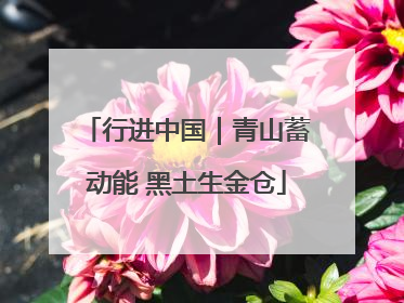 行进中国｜青山蓄动能 黑土生金仓