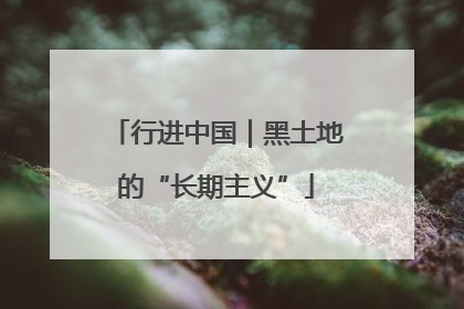 行进中国｜黑土地的“长期主义”