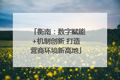 衡南：数字赋能+机制创新 打造营商环境新高地
