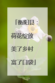 衡阳县：荷花绽放 美了乡村 富了口袋