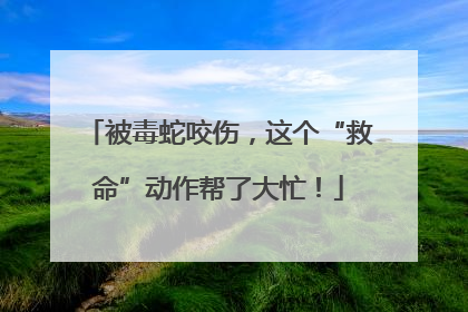 被毒蛇咬伤，这个“救命”动作帮了大忙！