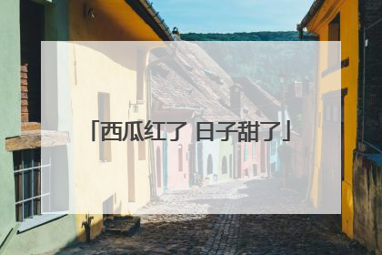 西瓜红了 日子甜了