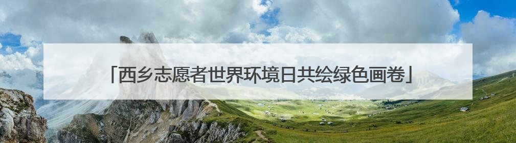 西乡志愿者世界环境日共绘绿色画卷