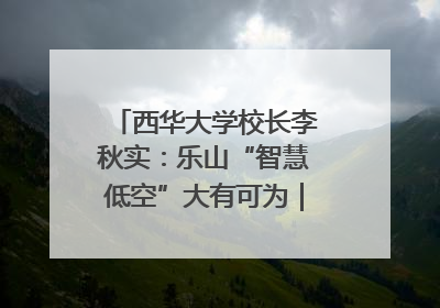 西华大学校长李秋实：乐山“智慧低空”大有可为｜西望四川