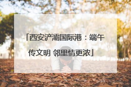 西安浐灞国际港：端午传文明 邻里情更浓