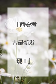 西安考古最新发现！
