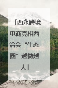 西永跨境电商亮相西洽会“生态圈”越做越大