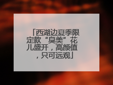 西湖边夏季限定款“臭美”花儿盛开，高颜值，只可远观