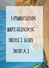 西藏自治区藏红花首次实现出口 远销加拿大