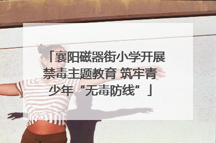 襄阳磁器街小学开展禁毒主题教育 筑牢青少年“无毒防线”