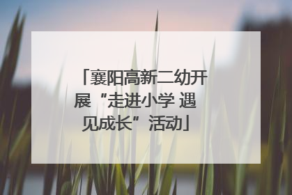 襄阳高新二幼开展“走进小学 遇见成长”活动