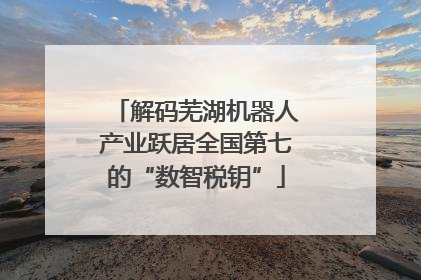 解码芜湖机器人产业跃居全国第七的“数智税钥”