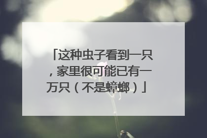 这种虫子看到一只，家里很可能已有一万只（不是蟑螂）