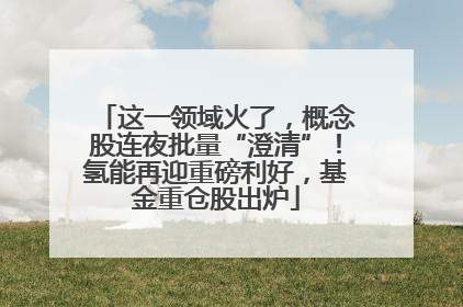 这一领域火了，概念股连夜批量“澄清”！氢能再迎重磅利好，基金重仓股出炉