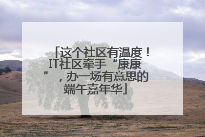 这个社区有温度！IT社区牵手“康康”，办一场有意思的端午嘉年华