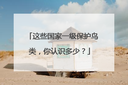 这些国家一级保护鸟类，你认识多少？
