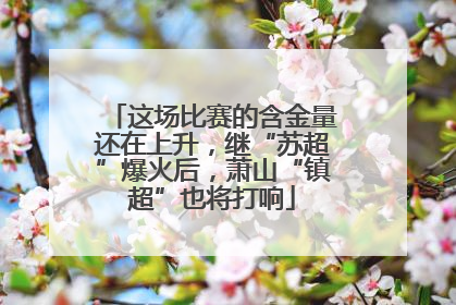 这场比赛的含金量还在上升，继“苏超”爆火后，萧山“镇超”也将打响