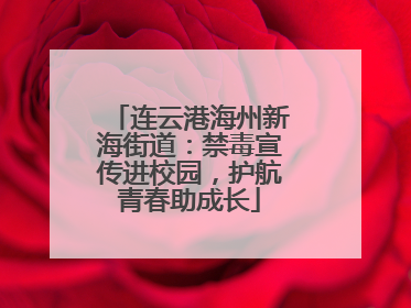 连云港海州新海街道：禁毒宣传进校园，护航青春助成长