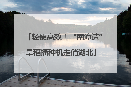 轻便高效！“南漳造”旱稻播种机走俏湖北