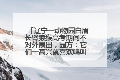 辽宁一动物园白眉长臂猿猴高考期间不对外展出，园方：它们一高兴就喜欢鸣叫，怕影响考试