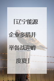 辽宁能源企业多措并举备战迎峰度夏