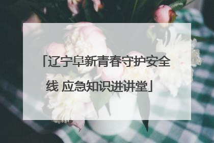 辽宁阜新青春守护安全线 应急知识进讲堂