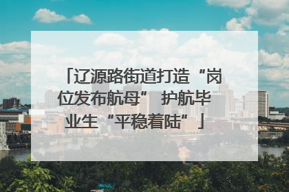 辽源路街道打造“岗位发布航母” 护航毕业生“平稳着陆”